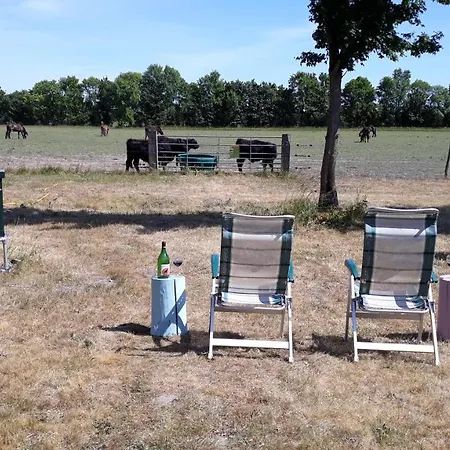 Bed & Breakfast Biesbosch *